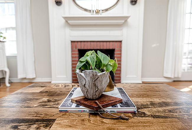 Plant sitting on table in front of fireplace