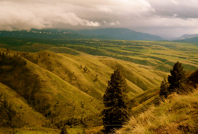 Rolling hills in Idaho