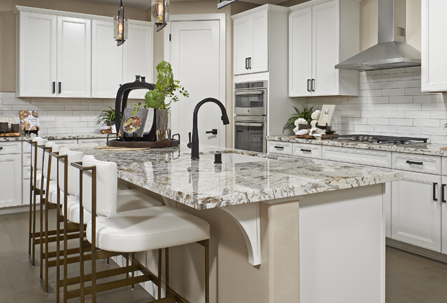 Quartzite countertops in a dream kitchen