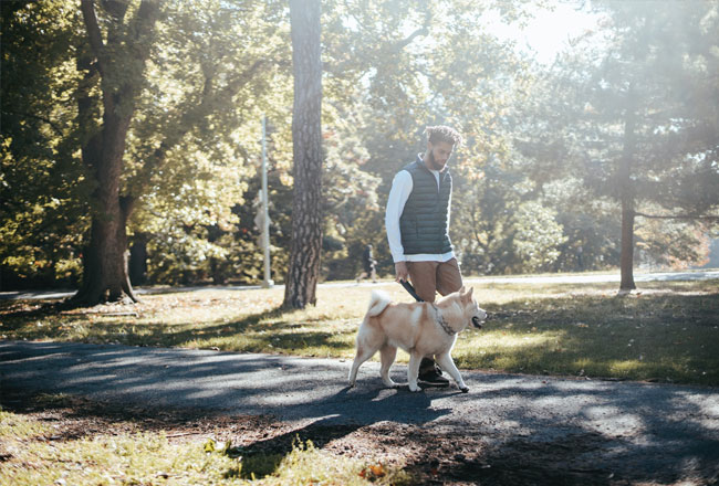 Man taking a walk with his dog in a park