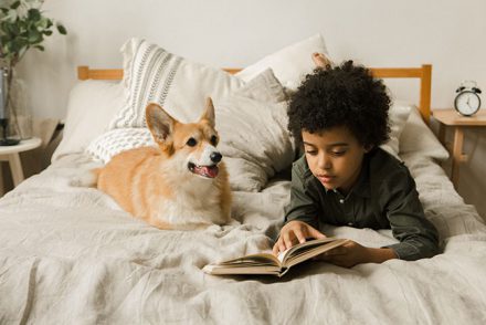 Child reading a book on his bed with a dog