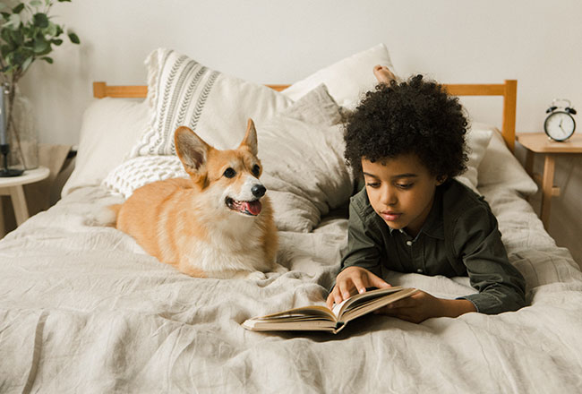 Child reading a book on his bed with a dog