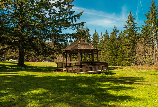 gazebo in a rural park