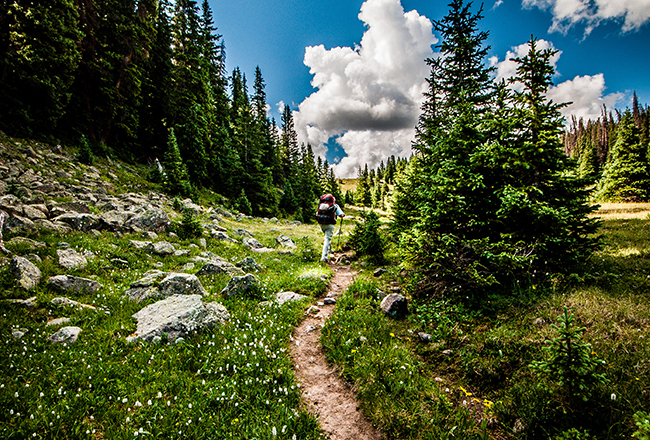 hiker walking along a trail 