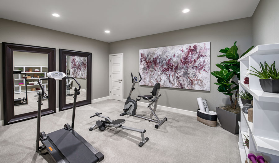 Exercise room with tall mirrors, workout equipment and unique art work