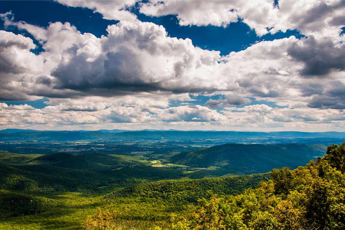 Lush landscape beneath a cloudy sky