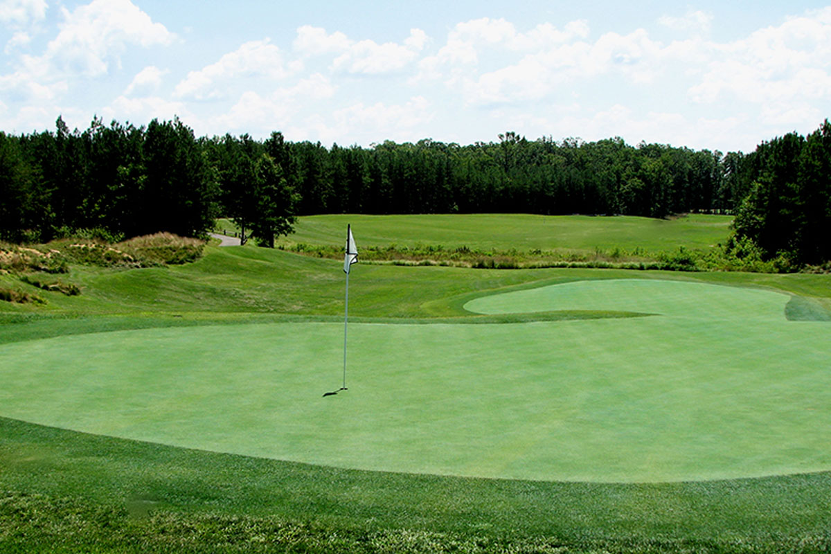 Golf hole on a sunny day