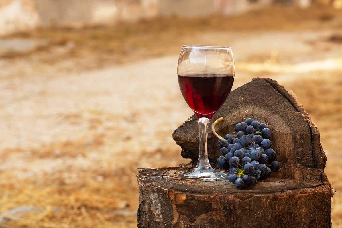 Glass of wine situated on a log, outdoors at a vineyard