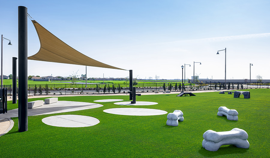 A neighborhood dog park