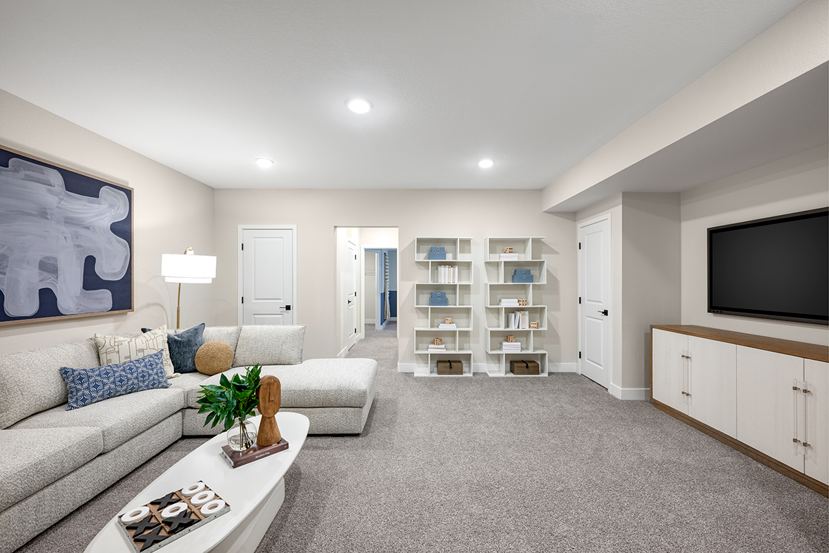 basement rec room with bookshelves and furniture for home storage