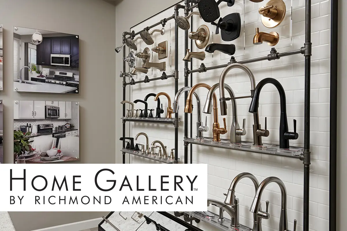 Home Gallery photo with multiple caucet options with Home Gallery by Richmond American logo over top