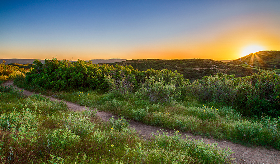 Cityscapes at the Meadows Castle Rock Community Richmond American Homes