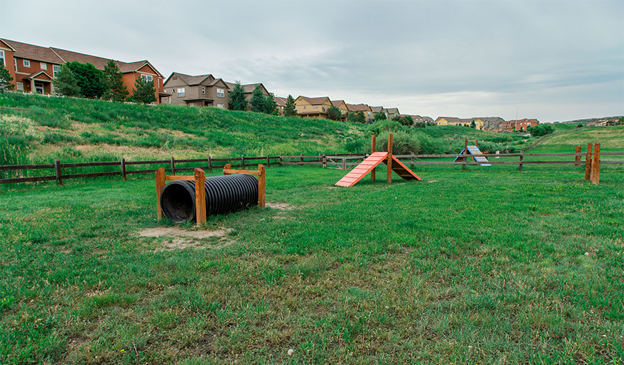 Wiggly Field Dog Park Castle Rock Wiggly Field Dog Park Castle Rock