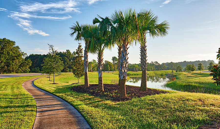 New Homes in Groveland, FL Home Builders in Sunrise