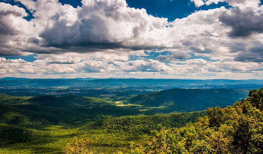Seasons at Cedar Spring Strasburg Community Richmond American Home