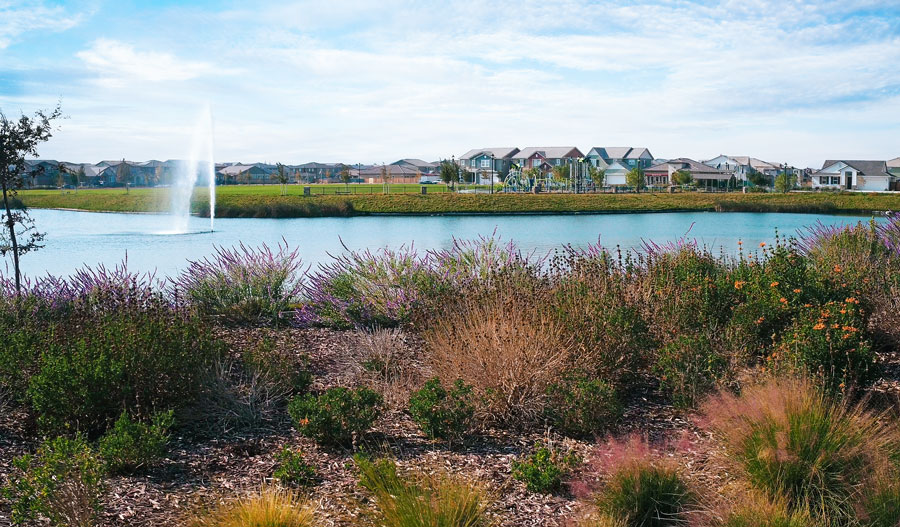 View of a new home community from across a lake