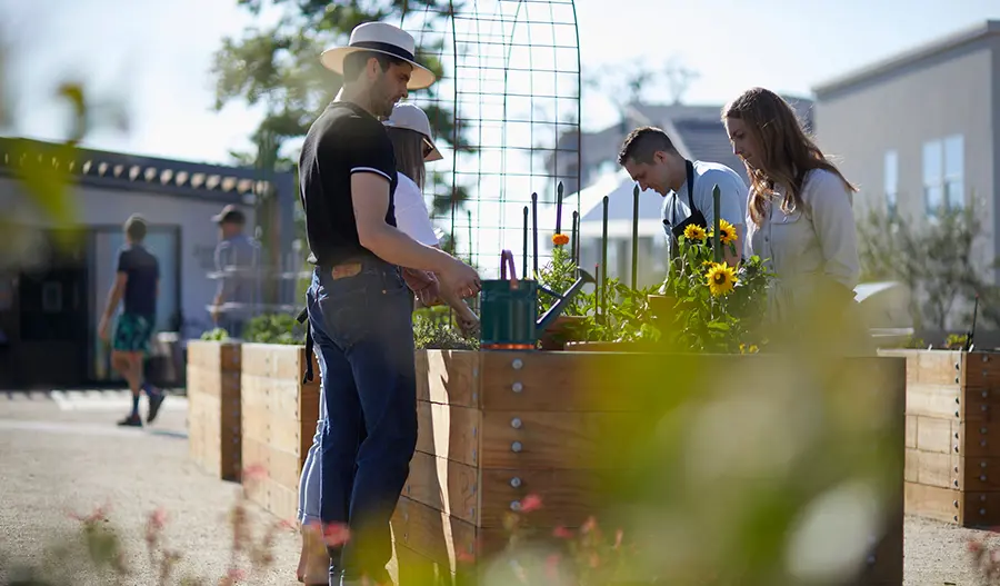 Neighbors at community garden