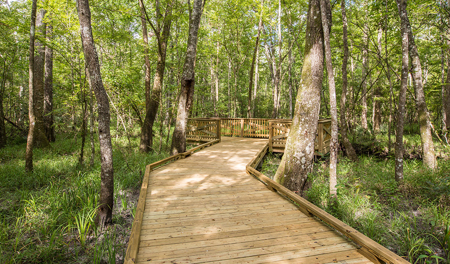 Shearwater St. Augustine Community Richmond American Homes