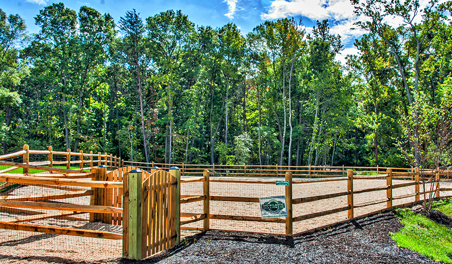 Tanyard Cove New Glen Burnie Community Richmond American Homes MD