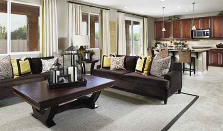 Belle-NEV-Great room brown/green