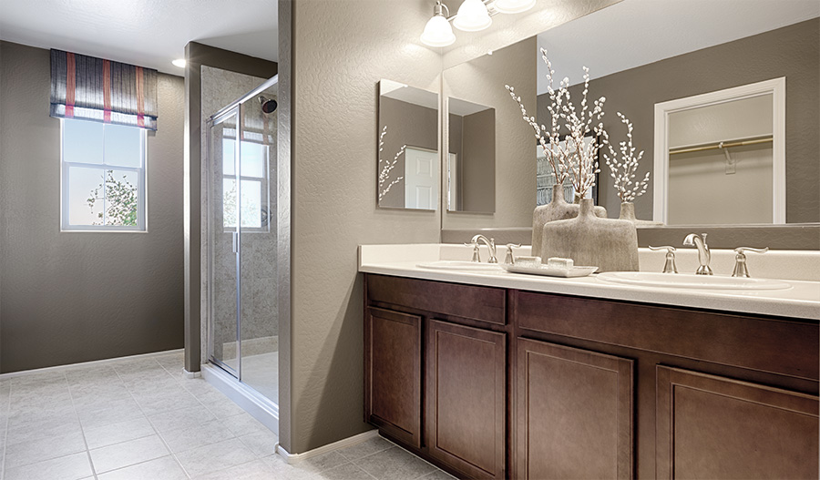 Owner's bathroom in the Citrine floor plan