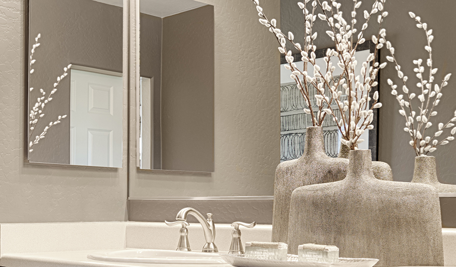 Master bathroom in the Citrine floor plan