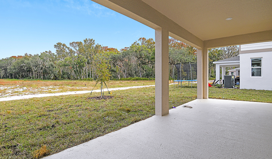 Rear Exterior of the Ammolite floor plan