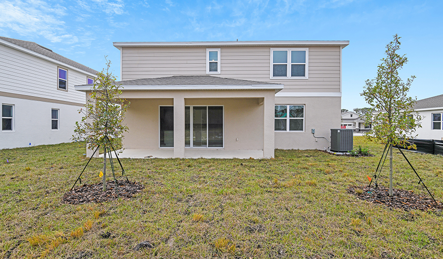 Rear Exterior of the Ammolite floor plan