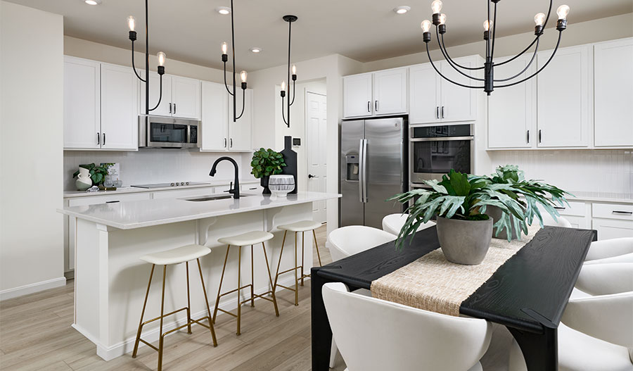 Kitchen of the Coronado floor plan