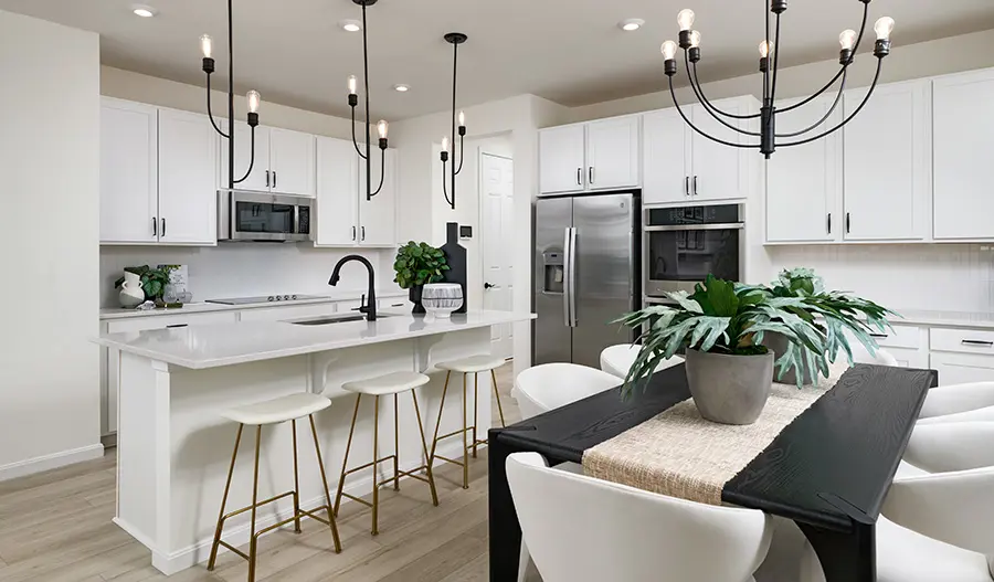Kitchen of the Coronado Plan