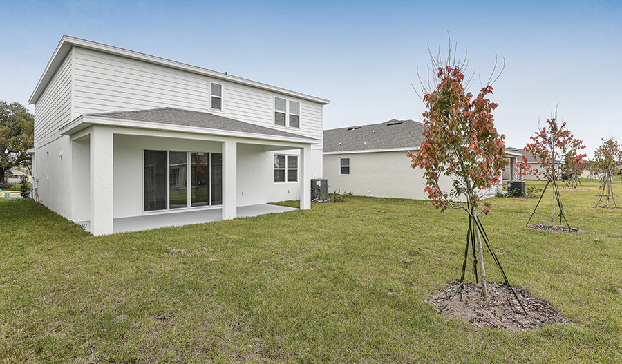 Rear Exterior of the Ammolite floor plan