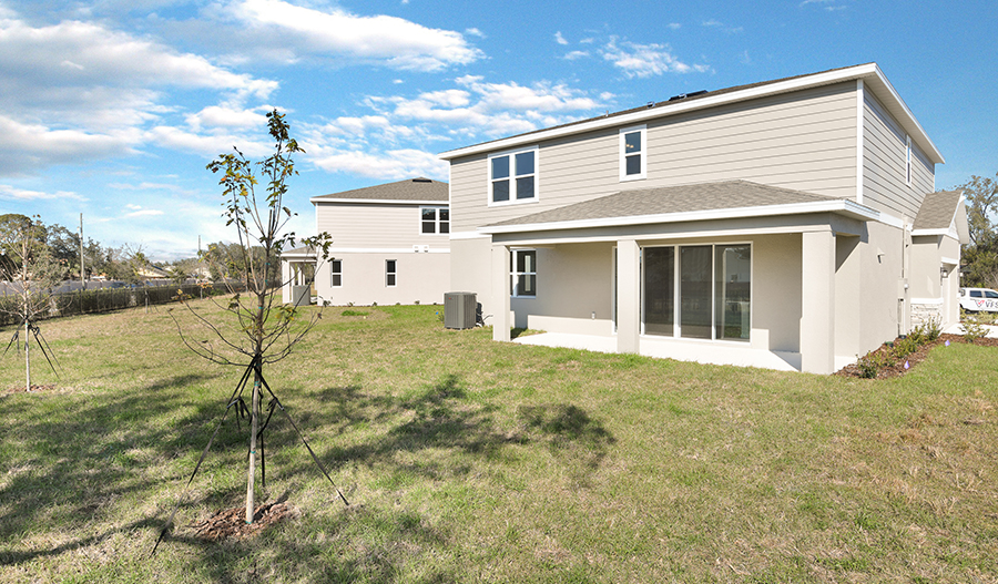 Rear Exterior of the Ammolite floor plan