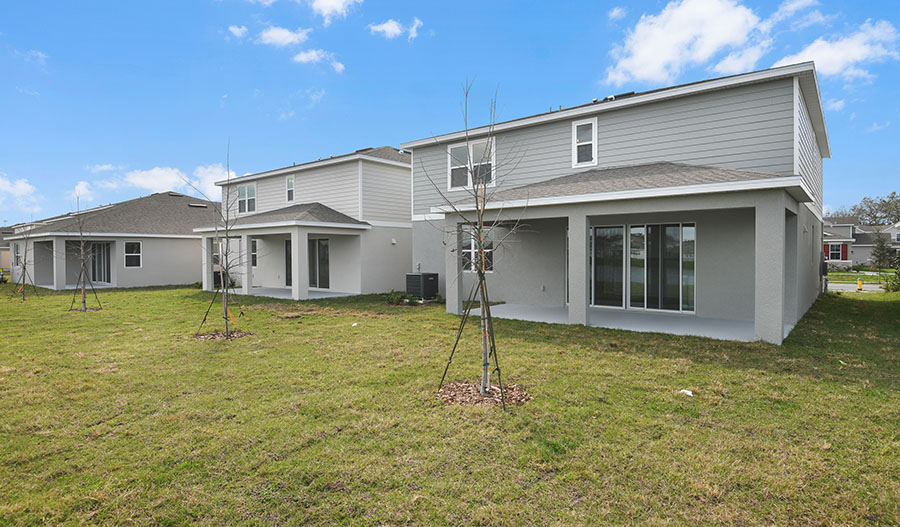 Rear Exterior of the Ammolite floor plan