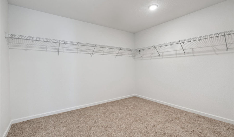 Closet of the Ammolite floor plan