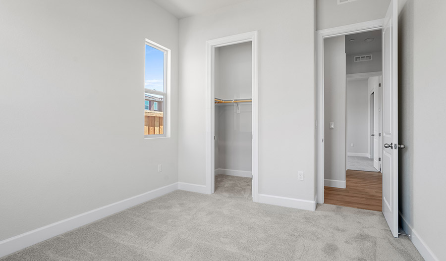 Bedroom of the Delaney floor plan