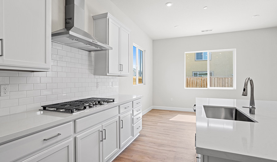 Kitchen of the Delaney floor plan