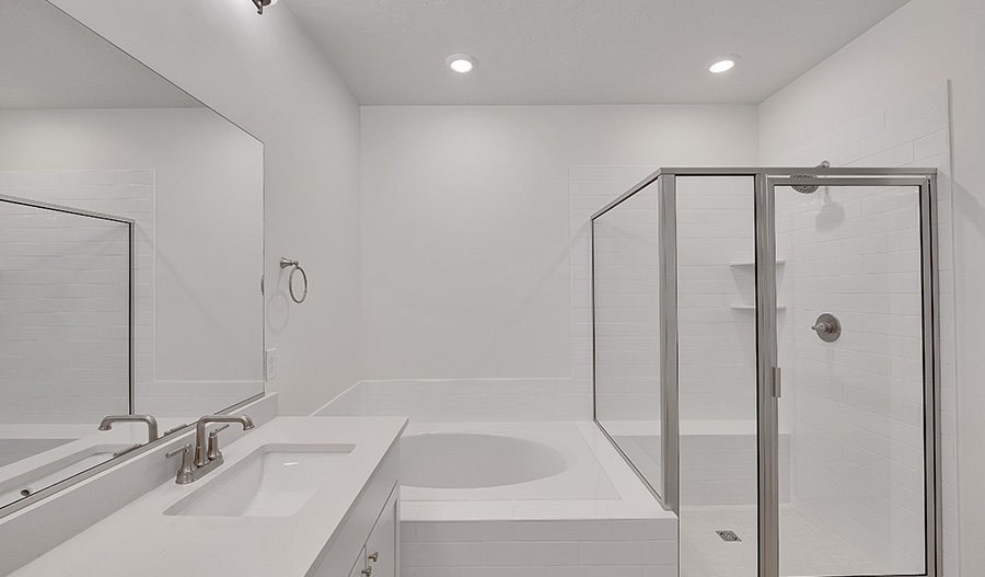 Bathroom of the Delaney floor plan