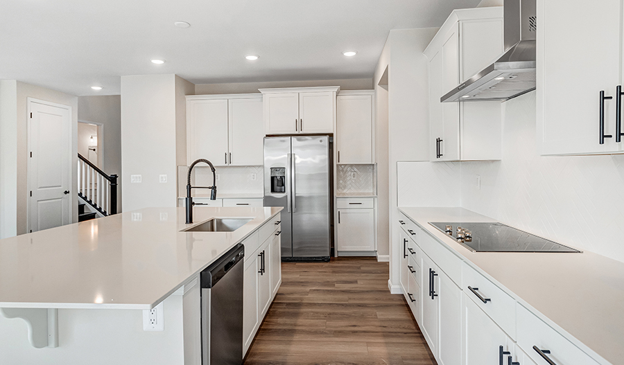 Kitchen of the Coronado floor plan