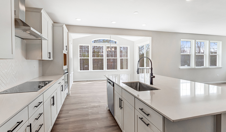 Kitchen of the Coronado floor plan