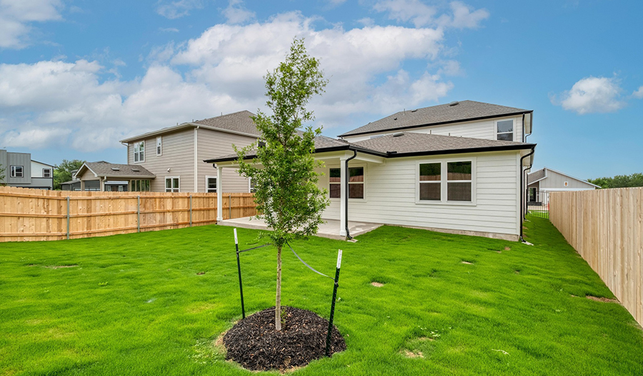 Rear Exterior of the Elderberry floor plan
