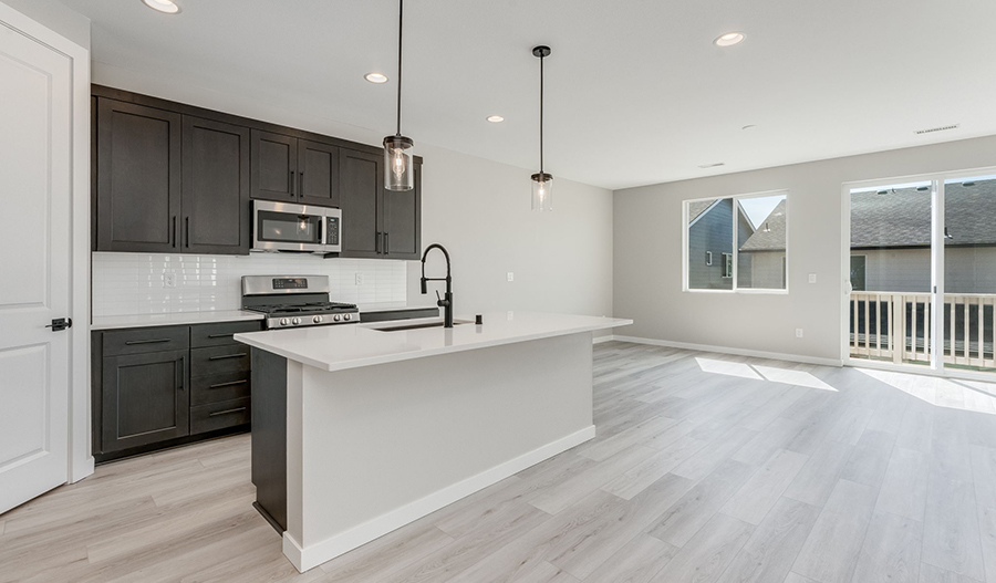 Kitchen of the Alpine floor plan