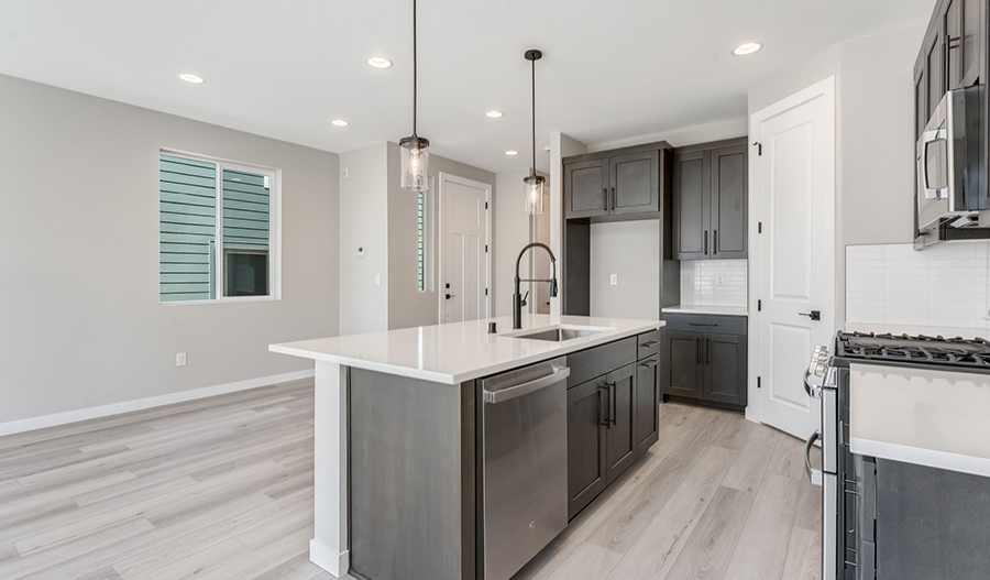 Kitchen of the Alpine floor plan