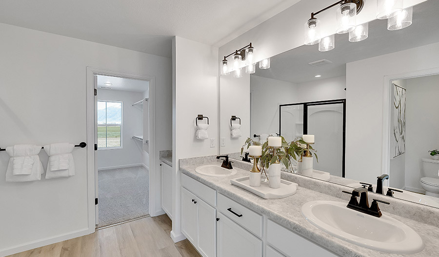 Bathroom of the Lapis floor plan