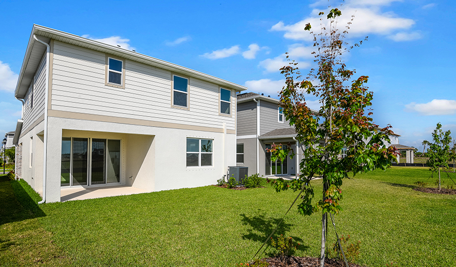 Rear Exterior of the Palm floor plan