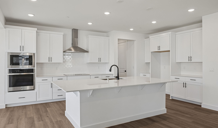 Kitchen of the Coronado floor plan