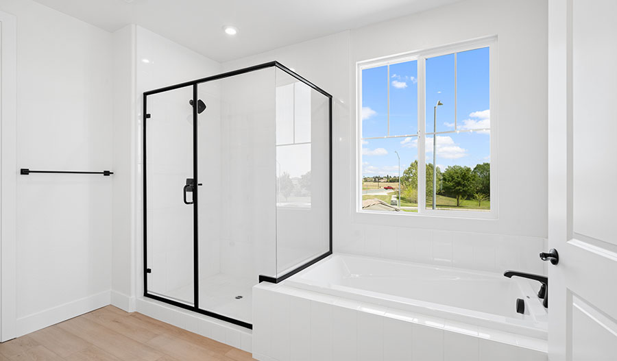 Bathroom of the Andrea floor plan