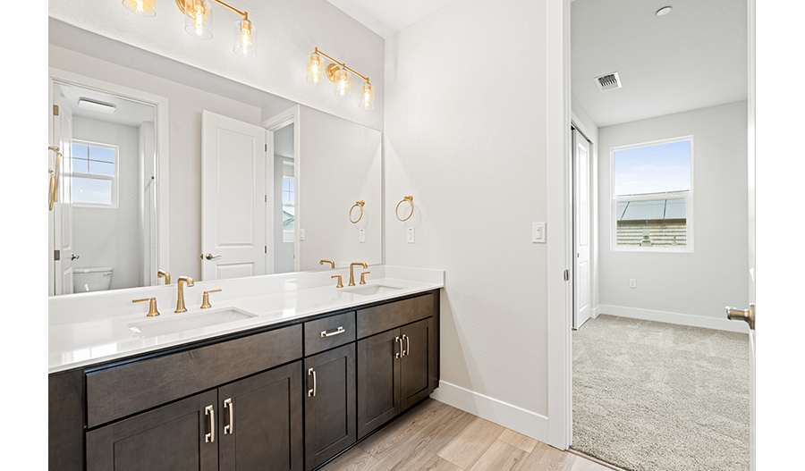 Bathroom of the Jasmine floor plan