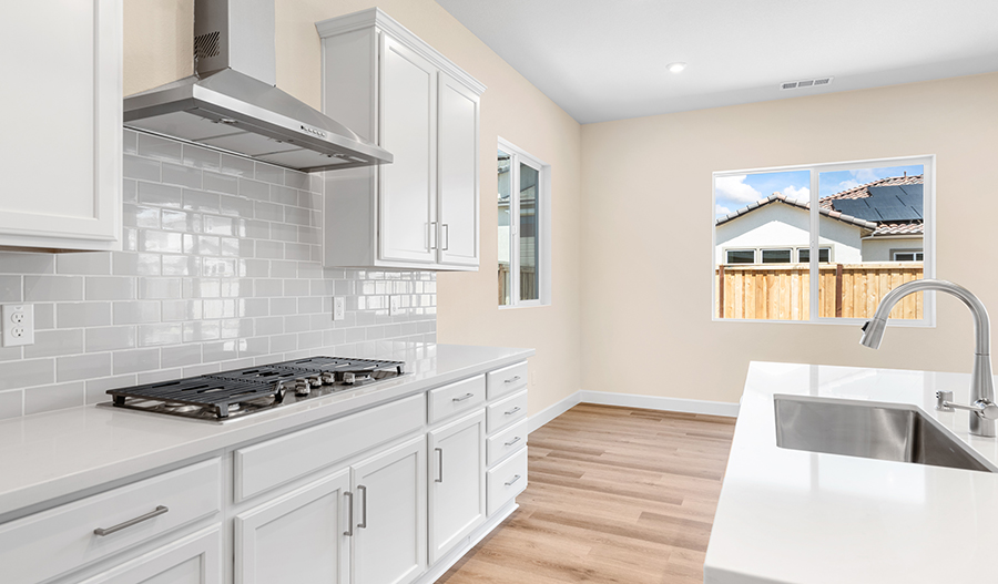 Kitchen of the Delaney floor plan