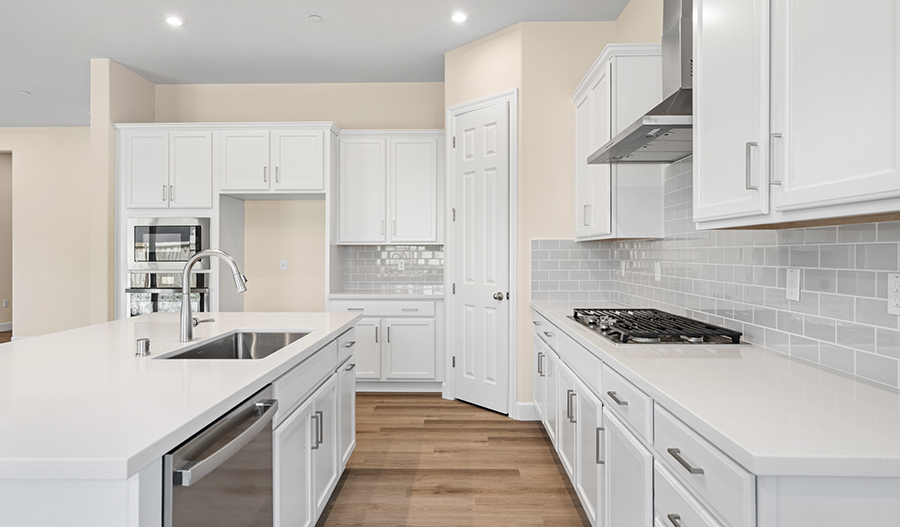 Kitchen of the Delaney floor plan