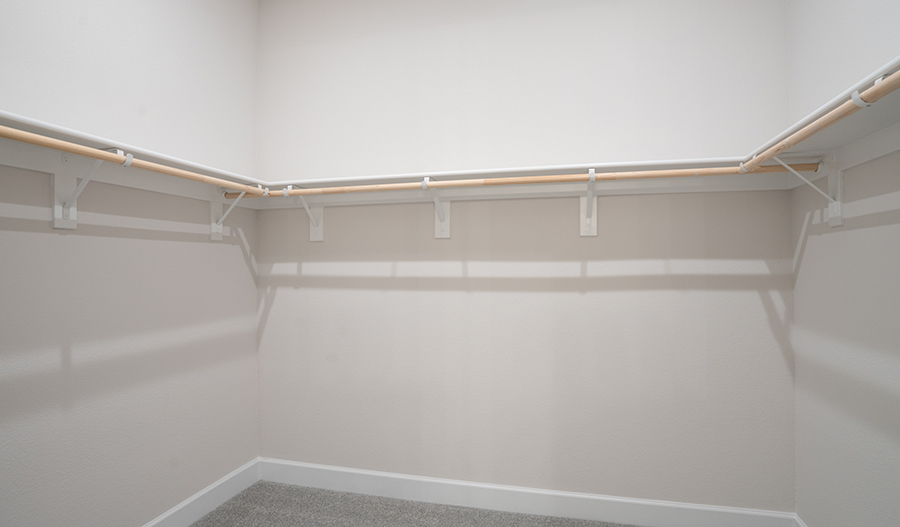 Closet of the Delaney floor plan